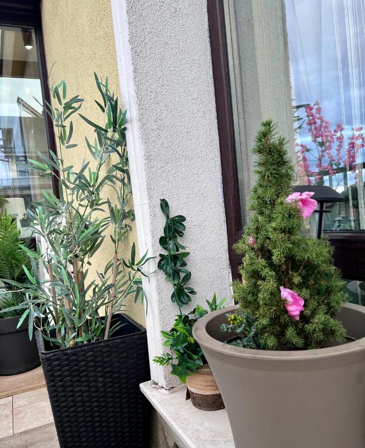 Vitosha Terrace 1br With Parking Apartemen Sofia
